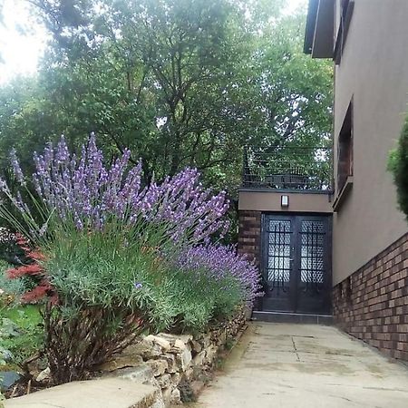 Apartman V Zahrade Praha Troja - Apartment In The Garden Prague Troja المظهر الخارجي الصورة